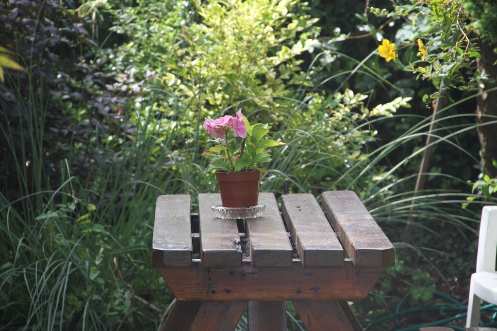 Marguerite'S B&B Skibbereen Extérieur photo
